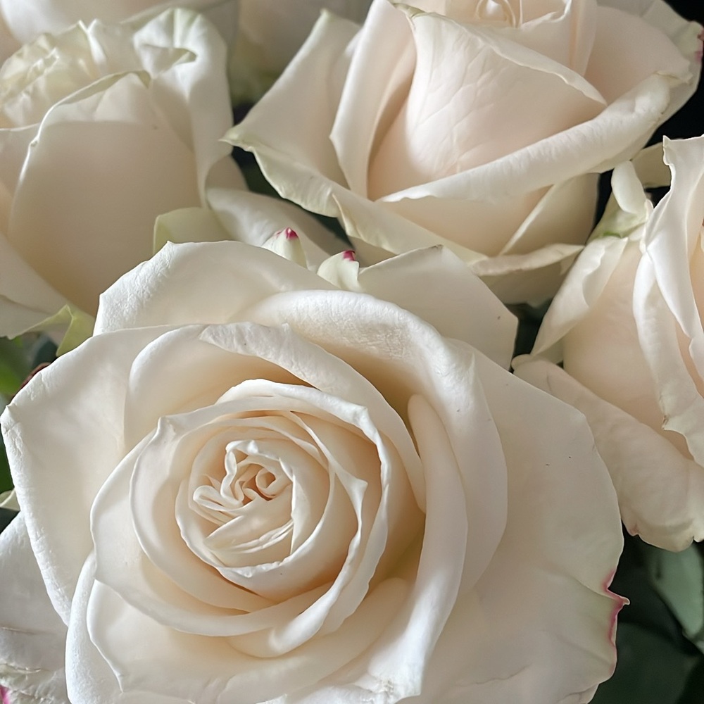 Meet your Posher, Aleksandra